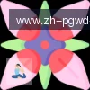 PG模拟器 logo