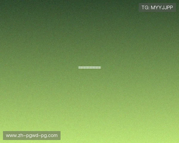 意甲中国老板球队介绍及投资影响